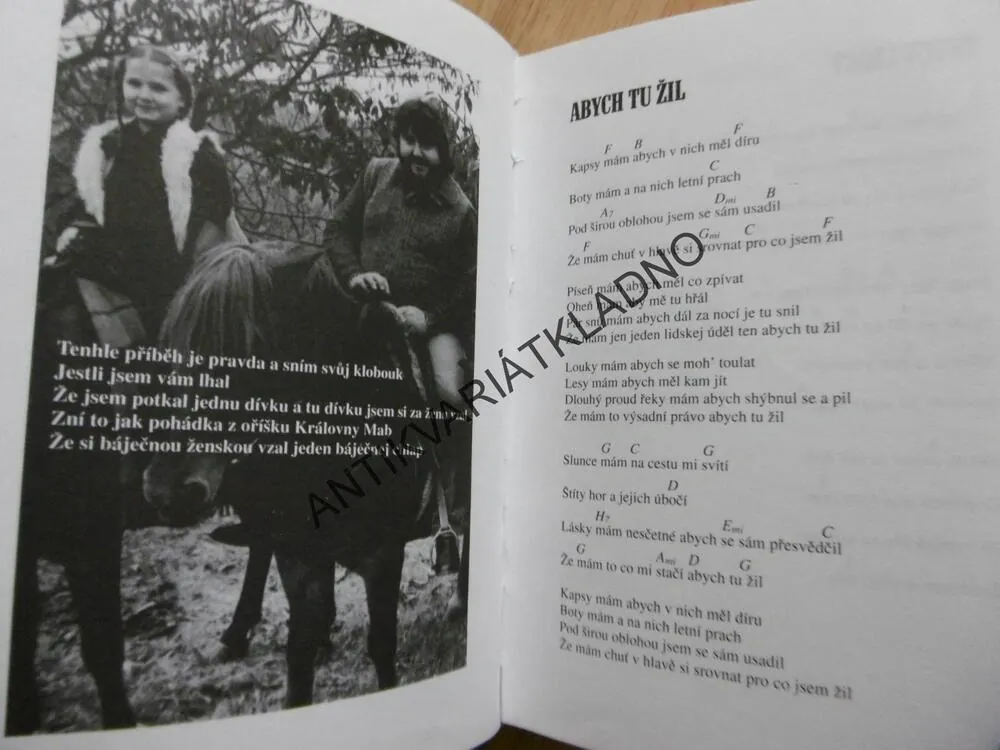 PÍSNIČKY PRO POSLEDNÍHO KOVBOJE, MICHAL TUČNÝ, COUNTRY