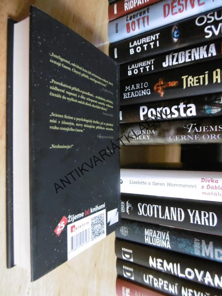 DÍVKA, KTERÁ SE TŘPYTILA, LAUREN BEUKESOVÁ, **an