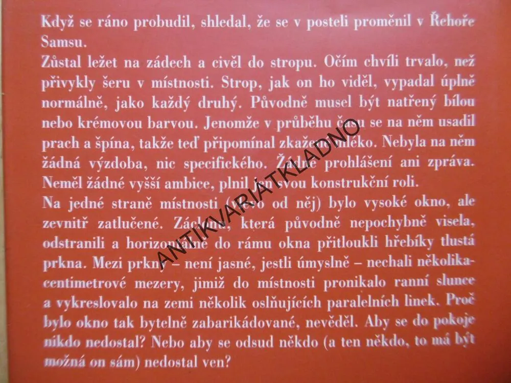 MUŽI, KTEŘÍ NEMAJÍ ŽENY, HARUKI MURAKAMI,