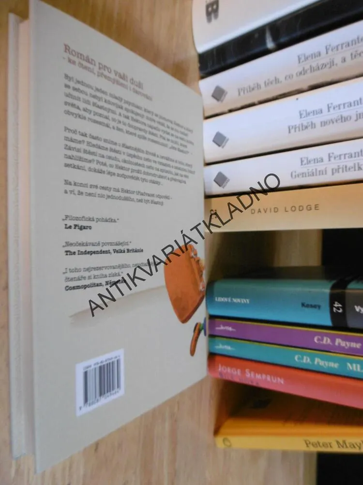 HEKTOROVA CESTA ANEB HLEDÁNÍ ŠTĚSTÍ, FRANCOIS LELORD, **an