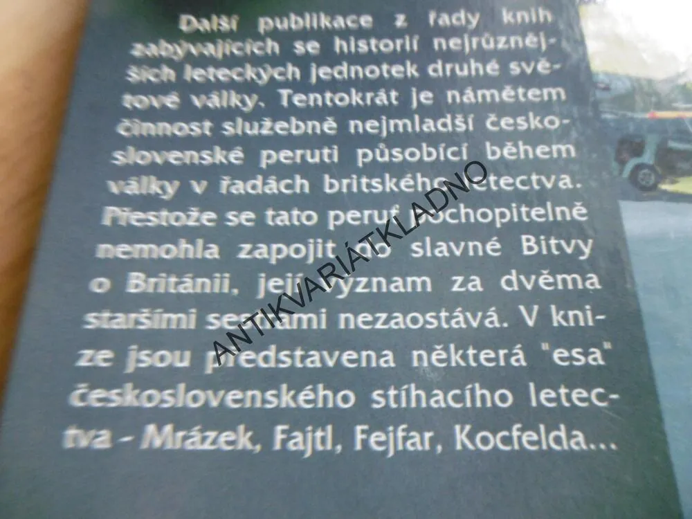 313. STÍHACÍ PERUŤ, JIŘÍ RAJLICH