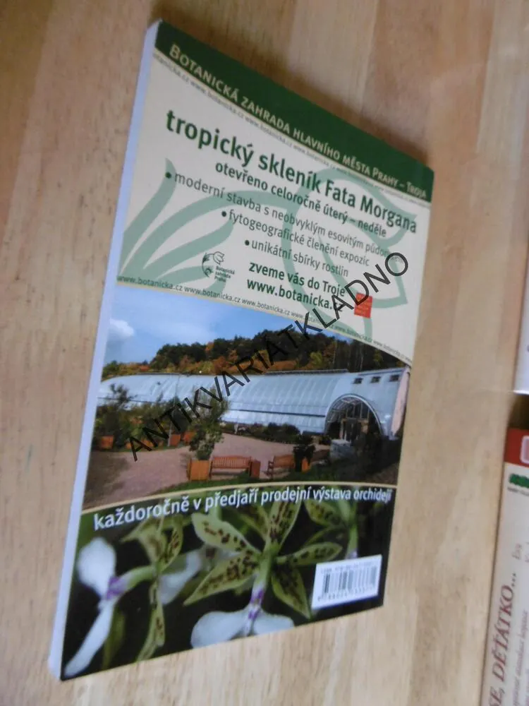 ORCHIDEJE V BYTĚ A RODINNÉM DOMĚ