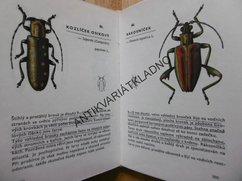 KAPESNÍ ATLAS BROUKŮ, S URČOVACÍM KLÍČEM, 1968, JAVOREK, **an