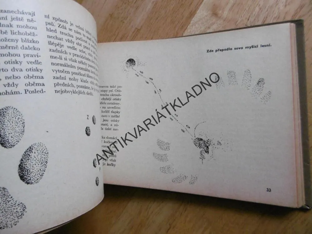 JAK ČÍST ZE STOP, M.KLÍMA, MYSLIVOST,
