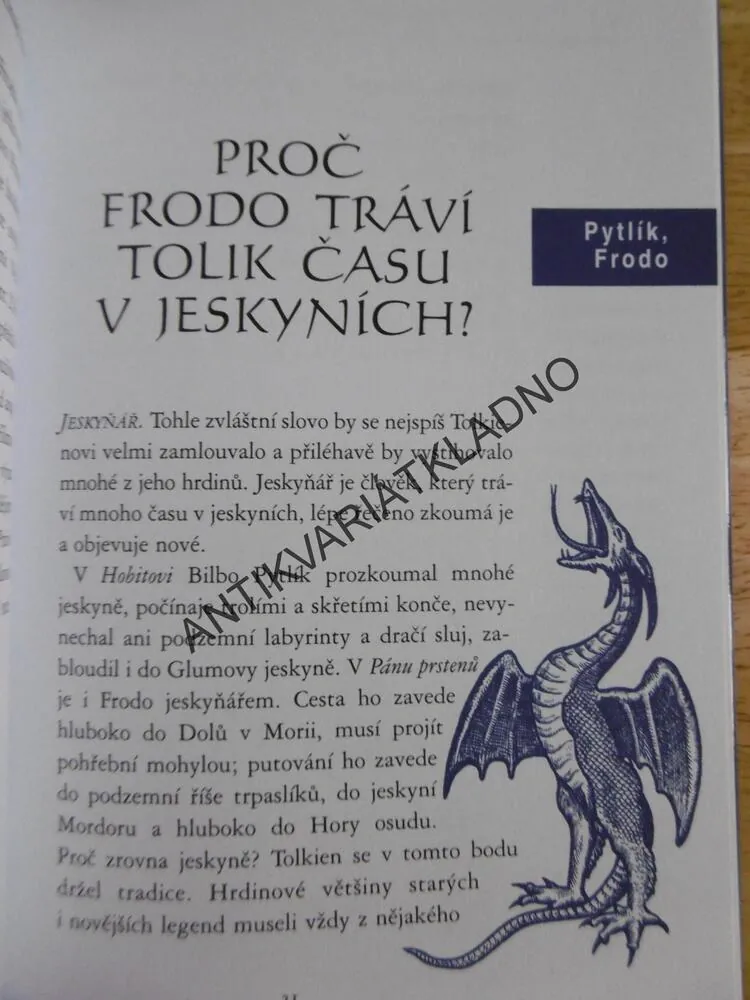 KOUZELNÝ SVĚT PÁNA PRSTENŮ, DAVID COLBERT,