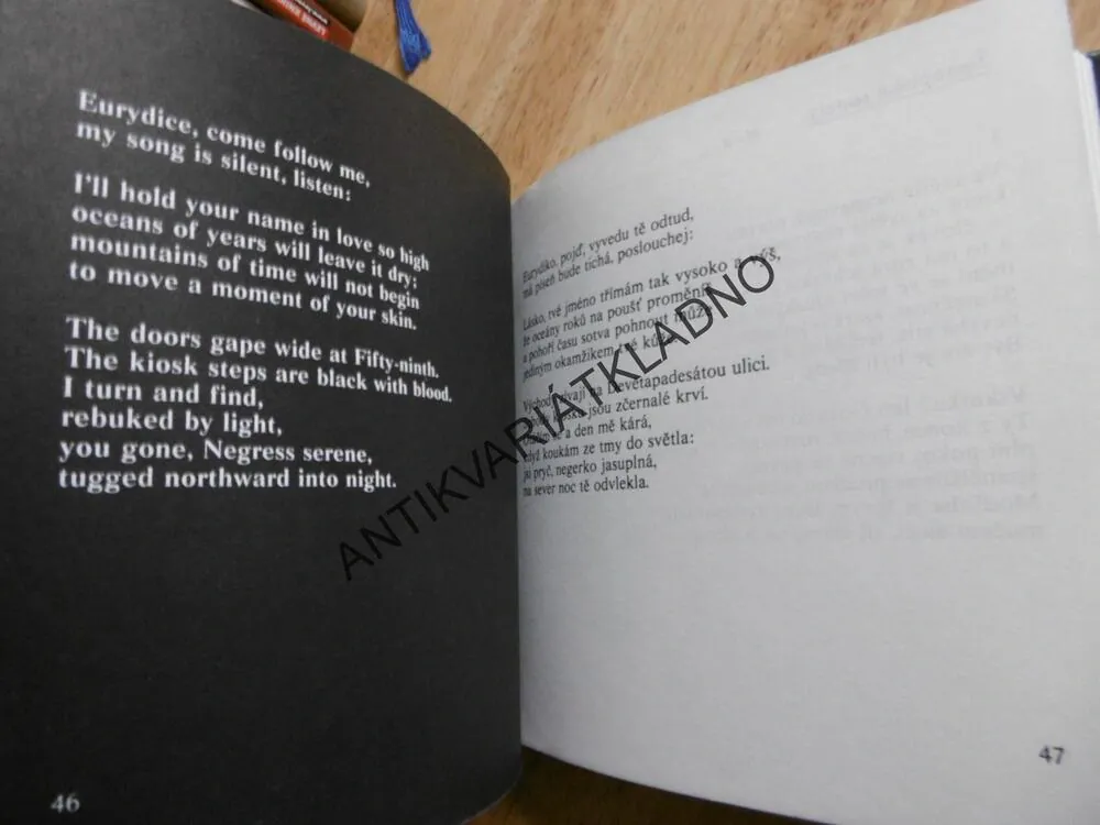 DOMÁCÍ BIOGRAF, JOHN UPDIKE, **an