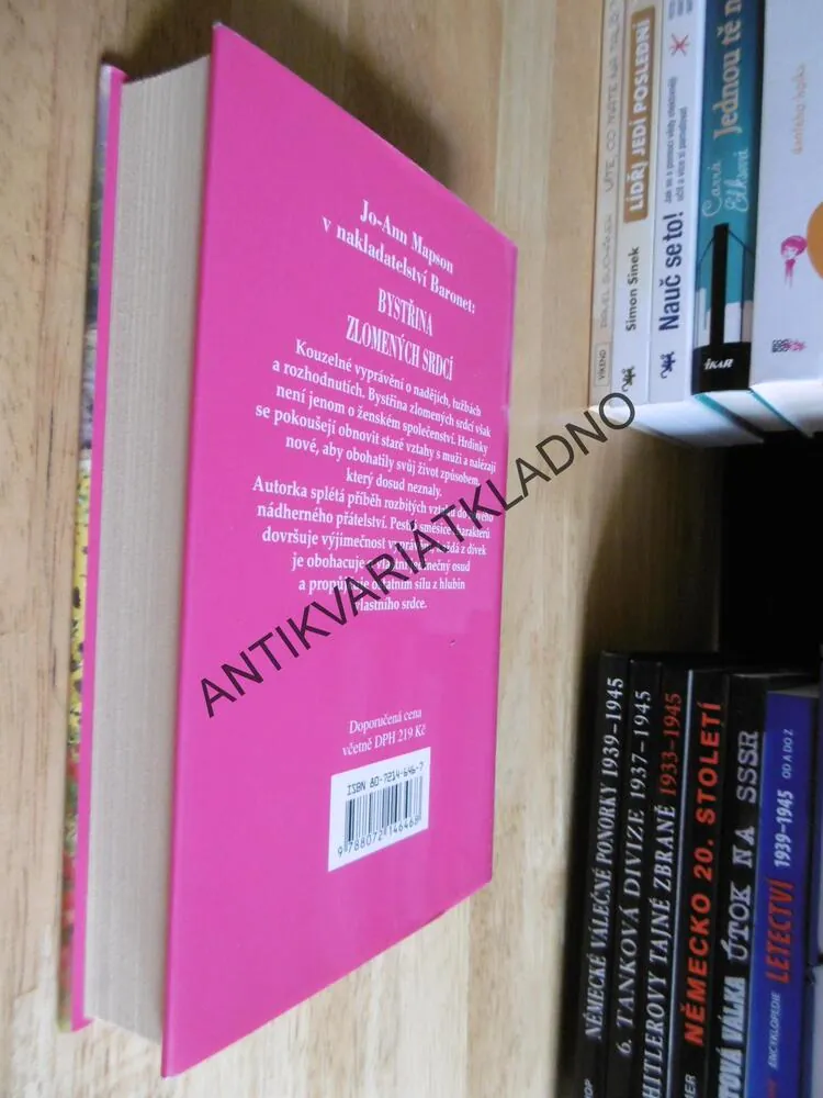 BYSTŘINA ZLOMENÝCH SRDCÍ, JO-ANN MAPSON, **an