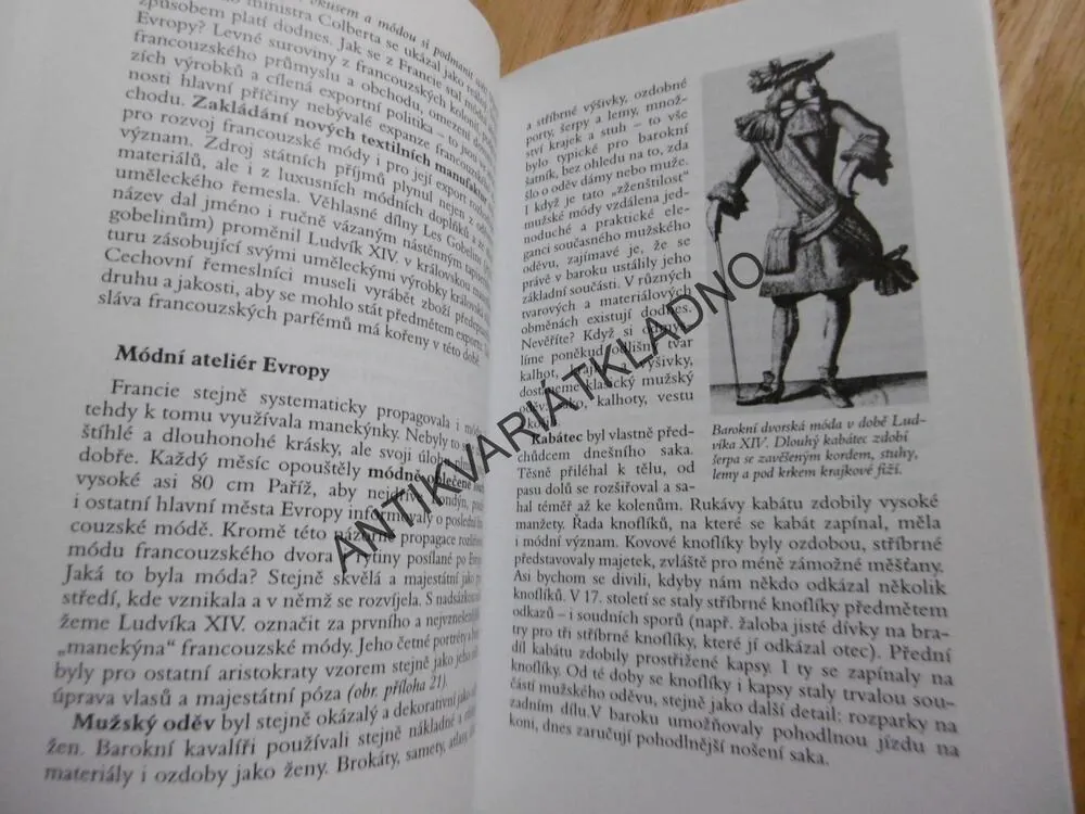 OD FÍKOVÉHO LISTU K DŽÍNŮM, JANA SKARLANTOVÁ . **an
