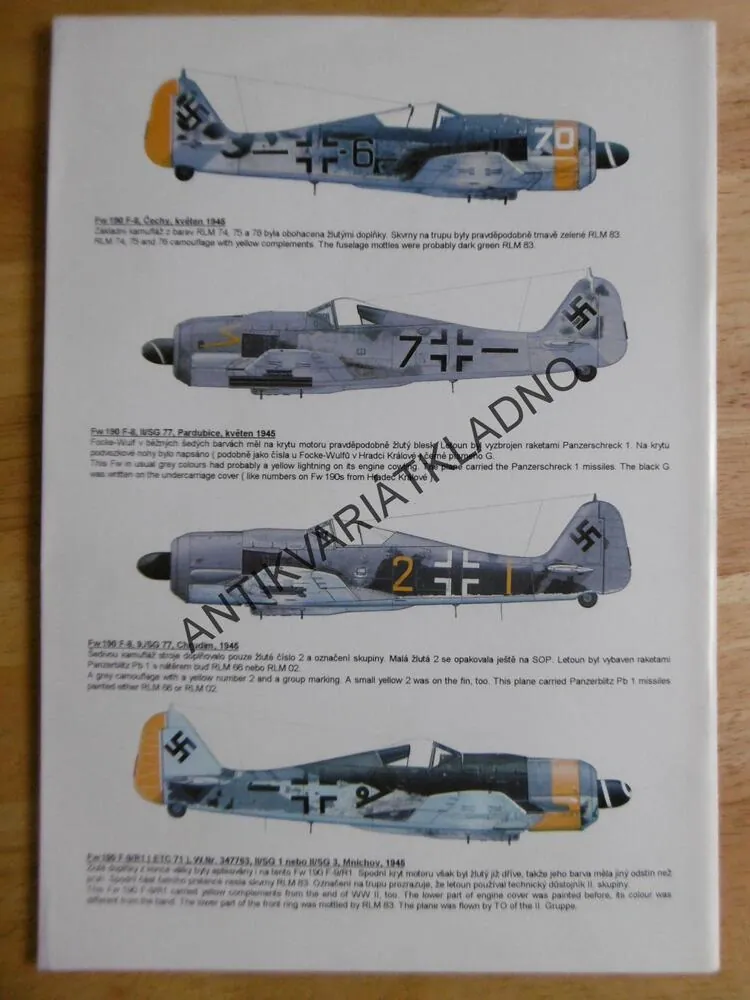 FOCKE-WULF FW 190 F,G