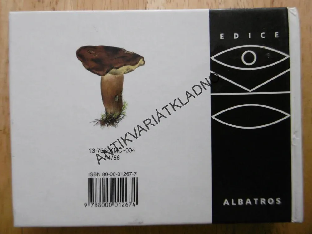 OKO 20 - NAŠE HOUBY, MYKOLOGIE, KOTLABA