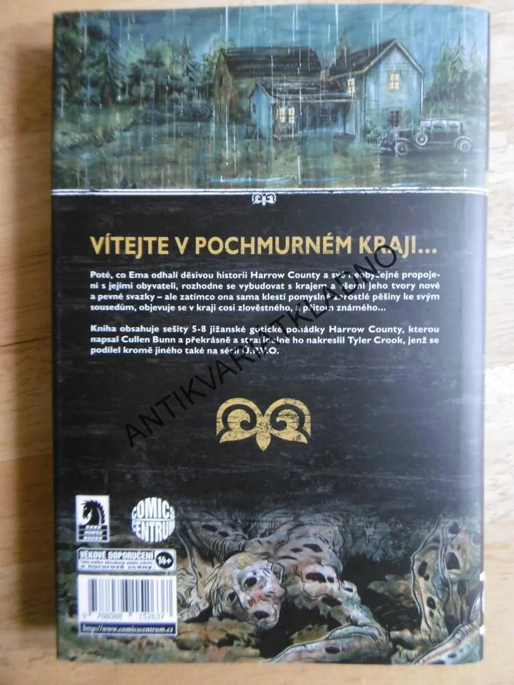 POCHMURNÝ KRAJ, ZRCADLENÍ, CULLEN BUNN, TYLER CROOK, KOMIKS
