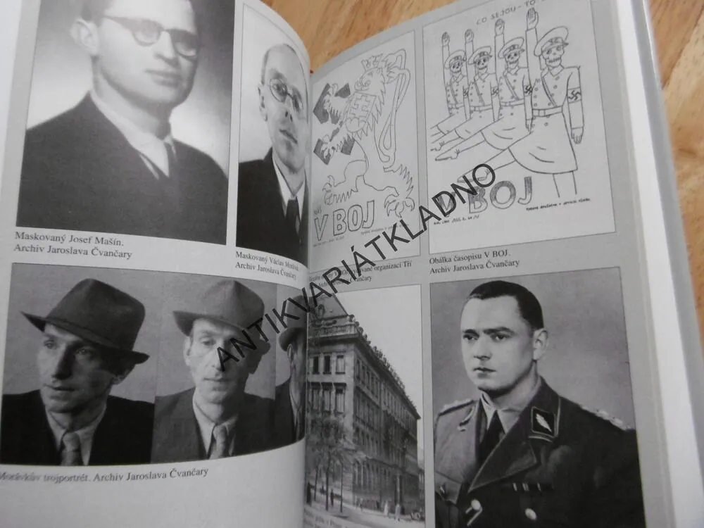 ODKAZ, PRAVDIVÝ PŘÍBĚH BRATŘÍ MAŠINŮ, BARBARA MASIN, **an