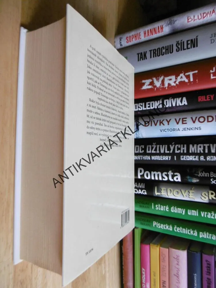 ŠÓGUN, JAMES CLAVELL, JAPONSKO, HISTORIE
