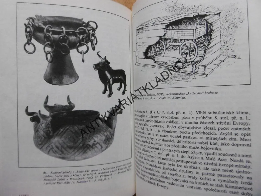 DĚJINY PRAVĚKÉ EVROPY, BUCHVALDEK, **an