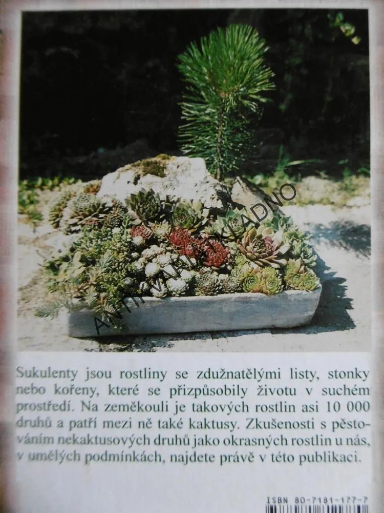 SUKULENTY PRO KAŽDÉHO, GRATIAS, ŠUBÍK, 