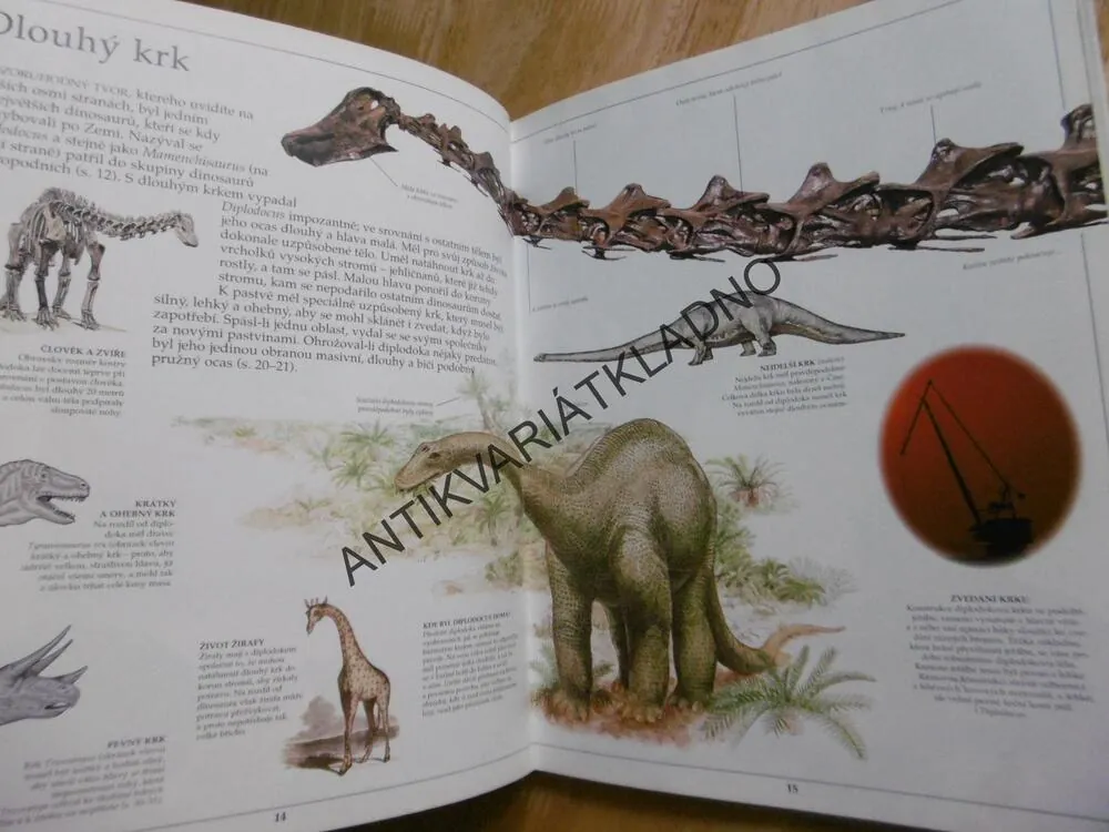 DINOSAUŘI, VIDĚT, POZNAT, VĚDĚT, **an