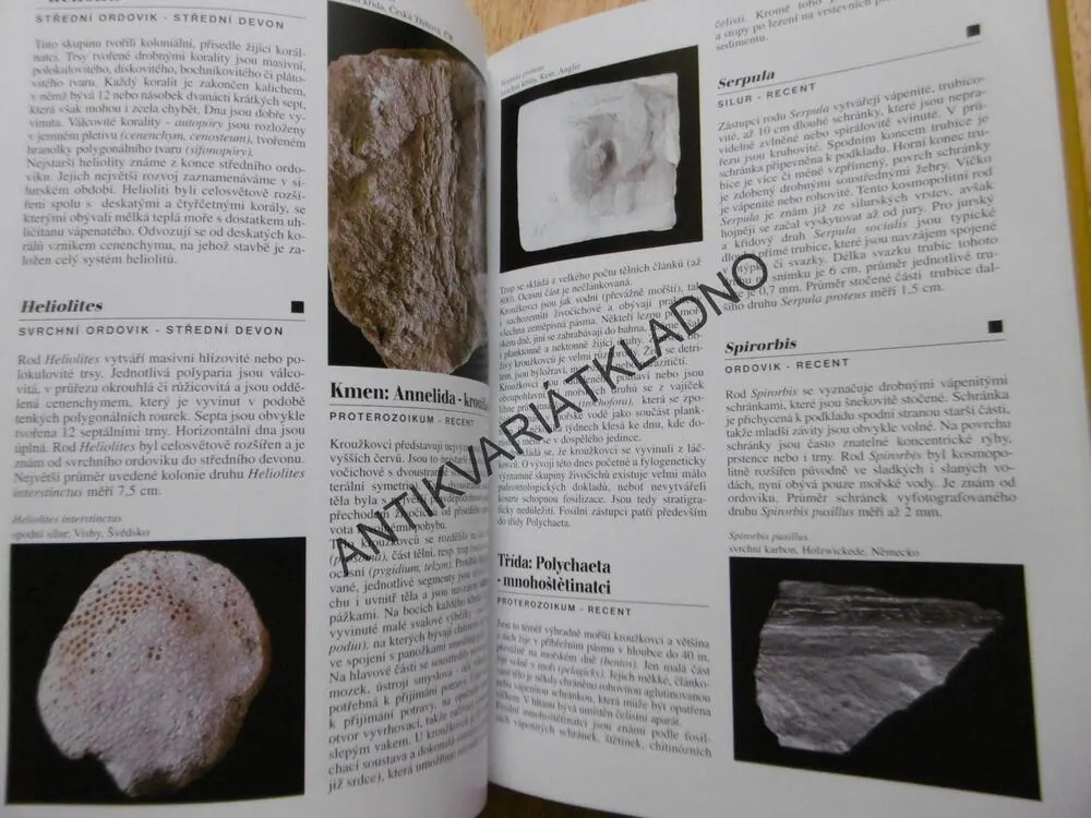 ENCYKLOPEDIE ZKAMENĚLIN, IVANOV, HRDLIČKOVÁ, GREGOROVÁ