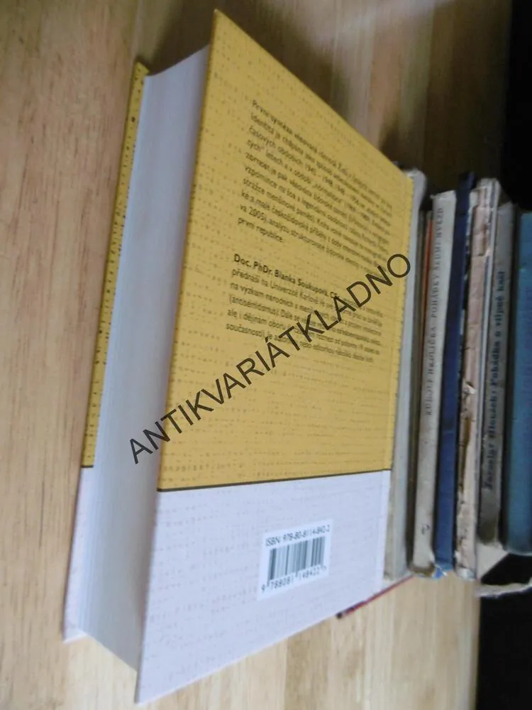 ŽIDÉ V ČESKÝCH ZEMÍCH PO ŠOA, IDENTITA PORANĚNÉ PAMĚTI, SOUKUPOVÁ