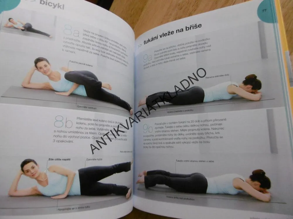 PILATES 15 MINUT DENNĚ, CVIKY PRO VŠECHNY ÚROVNĚ ZDATNOSTI, SPORT,CVIČENÍ+ DVD