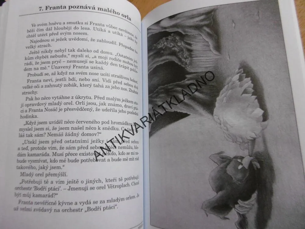GRAFOMOTORIKA PRO DĚTI PŘEDŠKOLNÍHO VĚKU, LOOSEOVÁ, PIEKERTOVÁ
