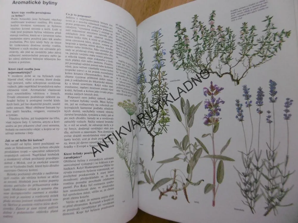 ABC PŘÍRODY, SVĚT V OTÁZKÁCH A ODPOVĚDÍCH, **an