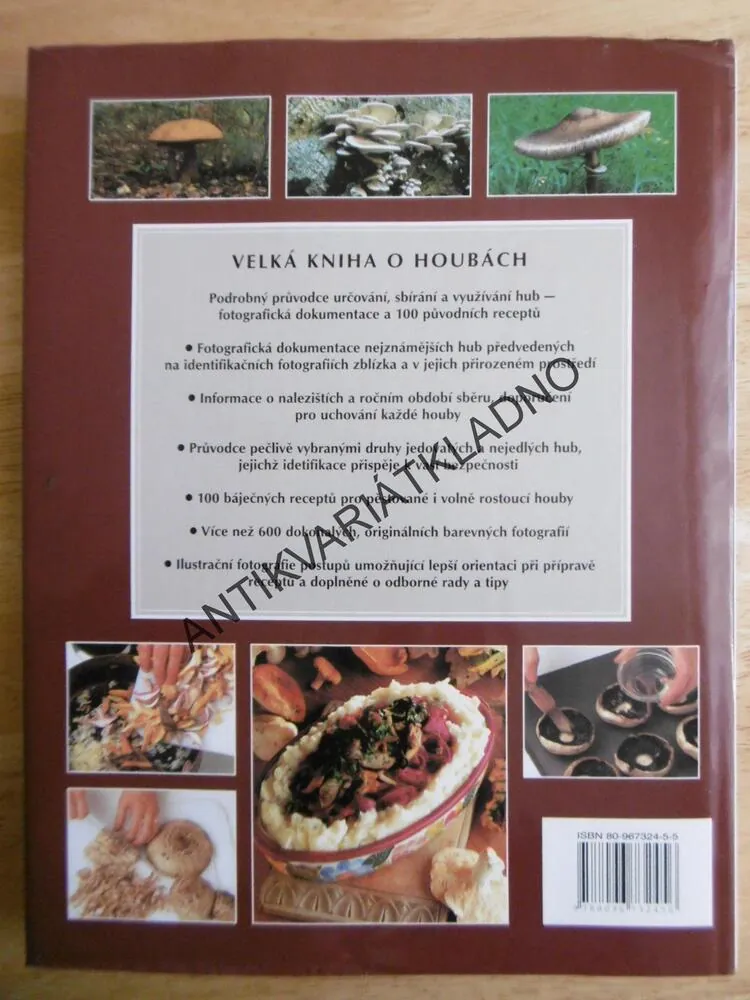 VELKÁ KNIHA O HOUBÁCH, HOUBY, MYKOLOGIE, JORDAN, WHEELER, **an
