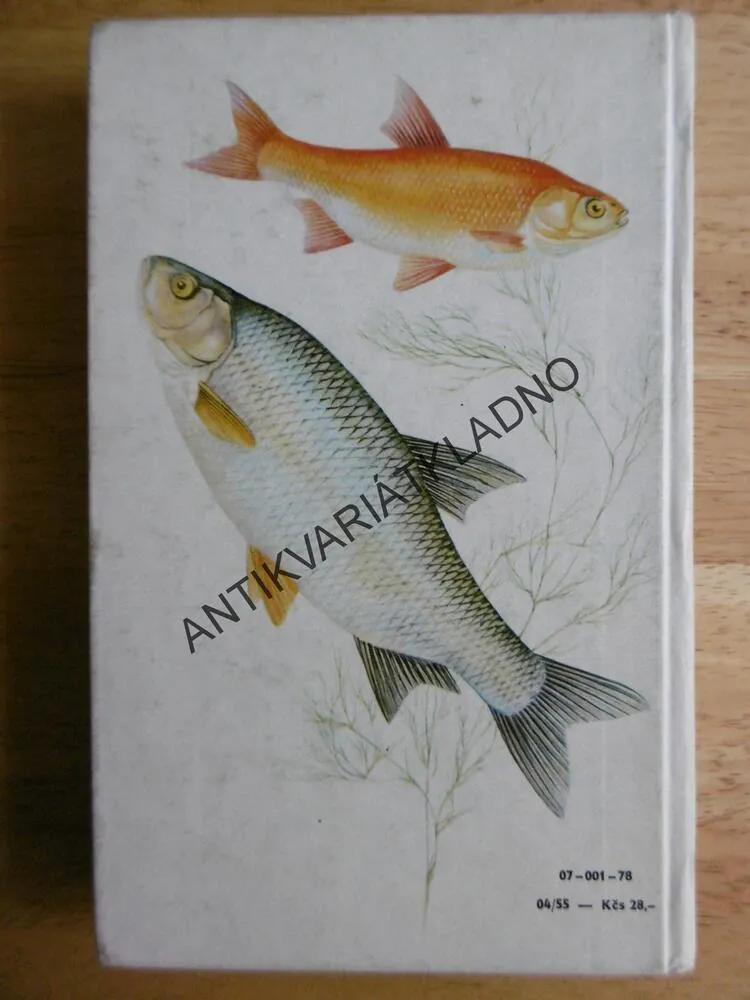 SLADKOVODNÍ RYBY, ČIHAŘ, MALÝ, **an