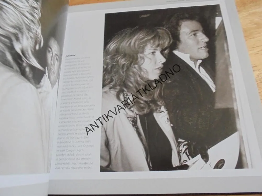 BRUCE SPRINGTEEN, ILUSTROVANÁ BIOGRAFIE