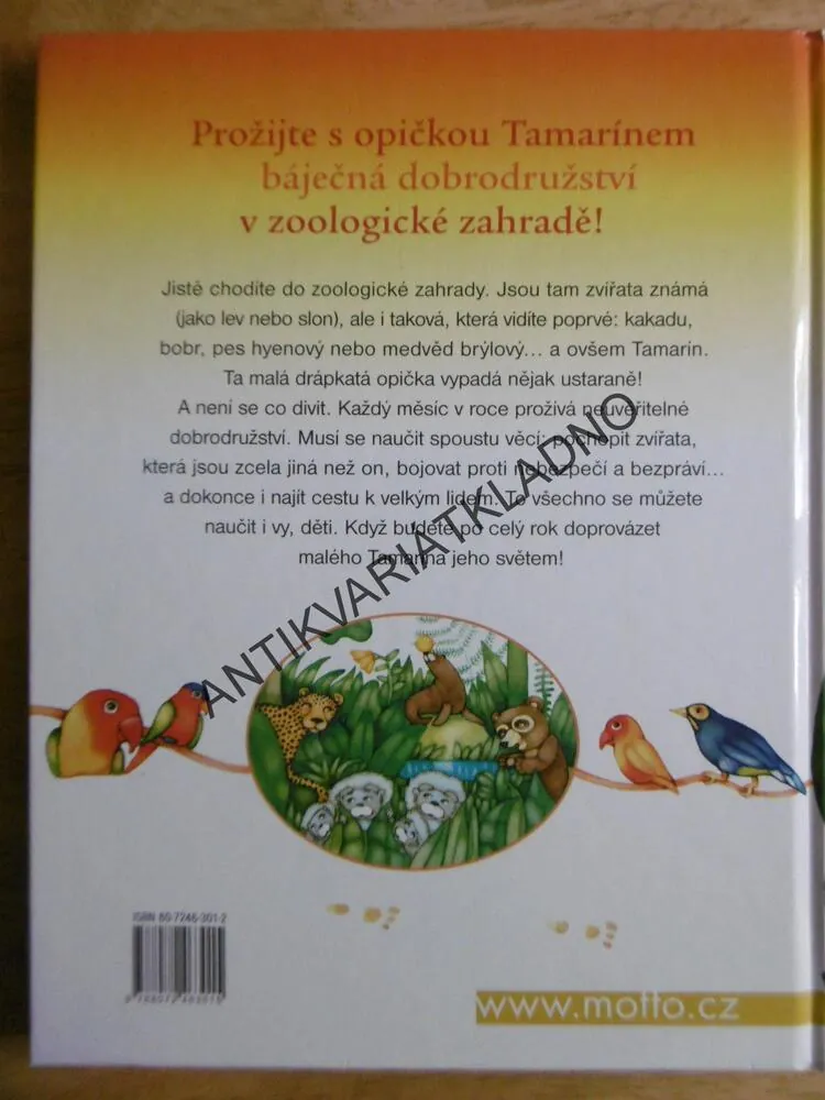 TAMARÍN A POMERANČ, DRIJVEROVÁ, VEVERKOVÁ