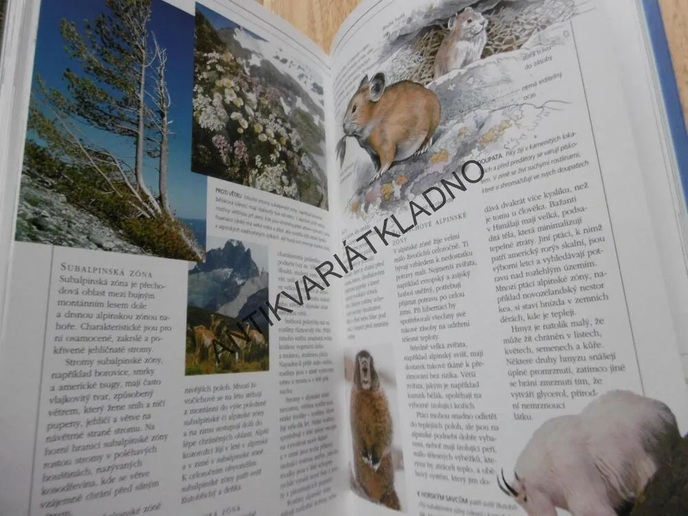 ENCYKLOPEDIE POČASÍ, METEOROLOGIE, **an
