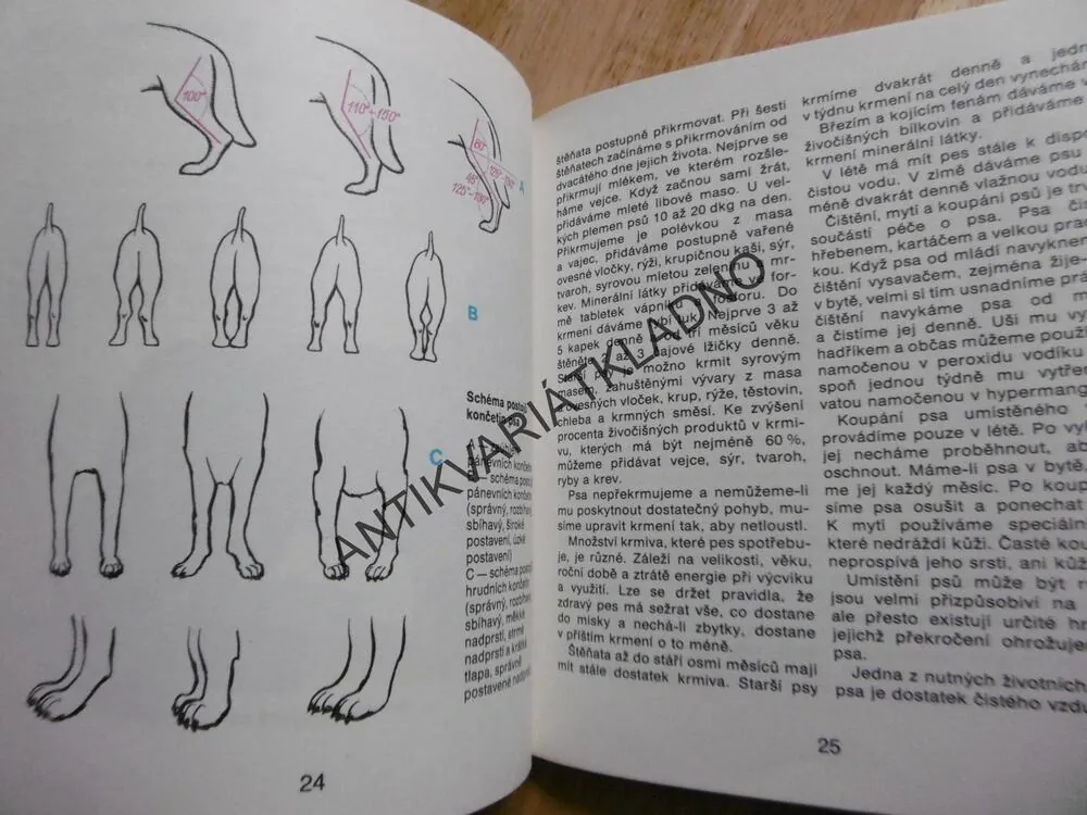 ČLOVĚK A PES, KAREL HARTL, PES, KYNOLOGIE, **an