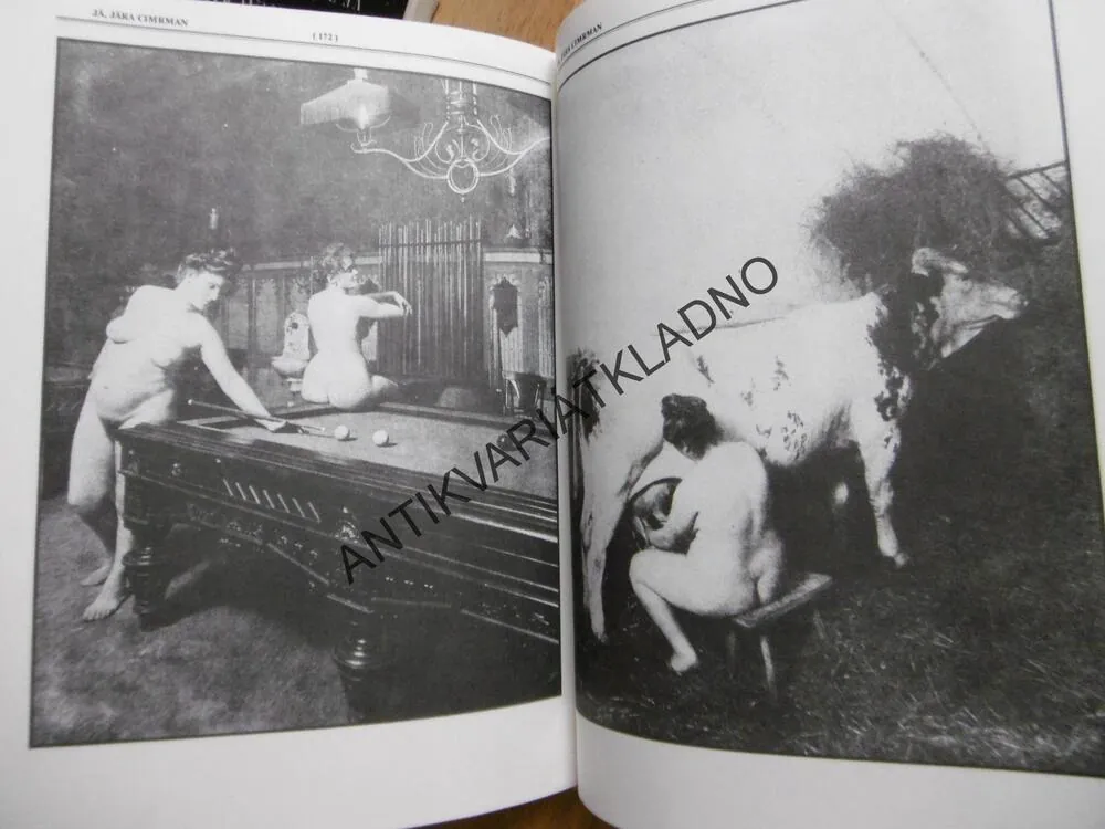 JÁ, JÁRA CIMRMAN, SBORNÍK, OZDOBA DOMÁCÍ BIBLIOTHÉKY, **an
