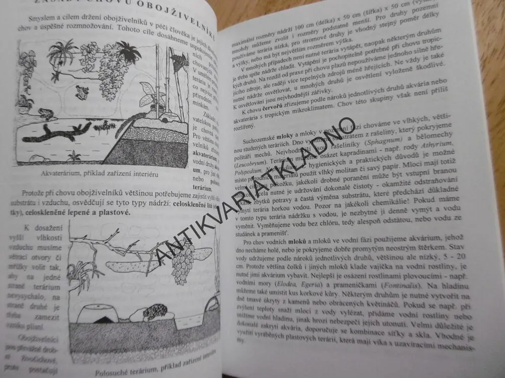 OBOJŽIVELNÍCI V TERÁRIÍCH, KOCOUREK, MODRÝ,