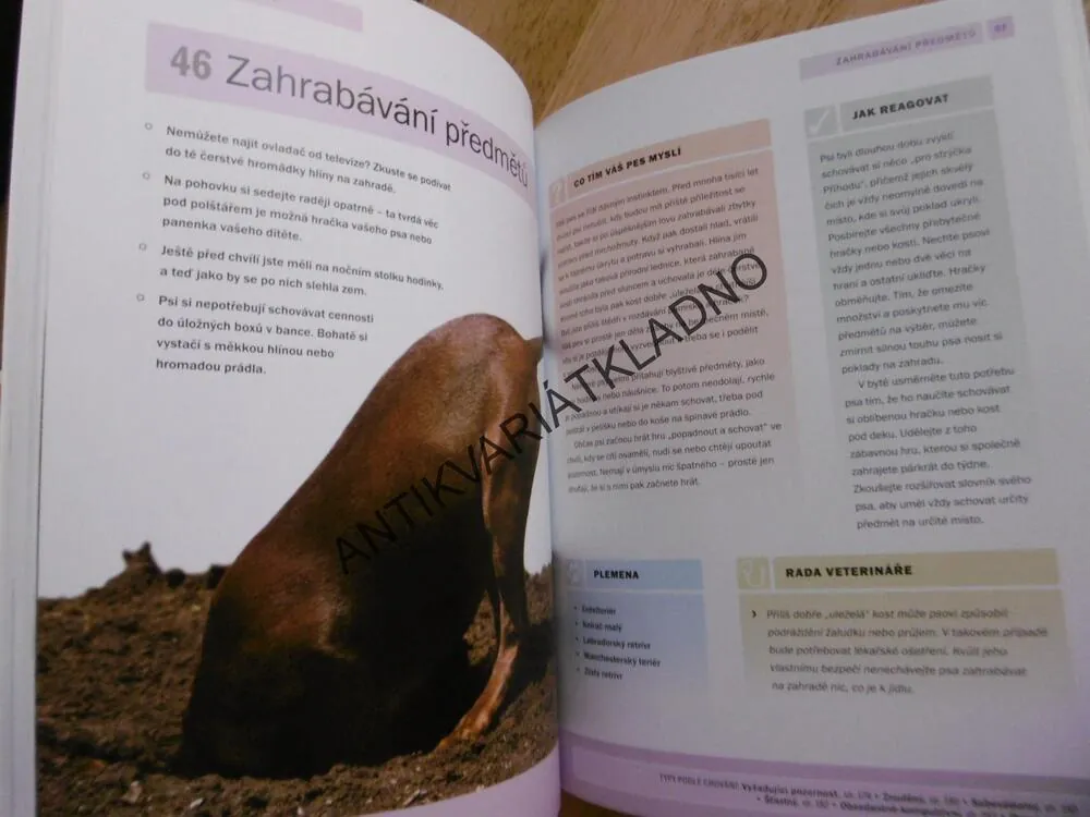 JAK TO TEN PES MYSLÍ? VIZUÁLNÍ PRŮVODCE PSÍ ŘEČÍ, ARDEN MOOREOVÁ