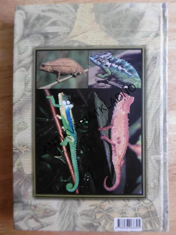 CHAMELEONI, PETR NEČAS, CHOVATELSTVÍ, TERARISTIKA, HERRPETOLOGIE, 