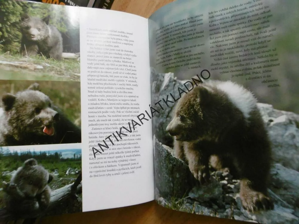 MÉĎOVÉ, PŮL ROKU S MEDVĚDÍMI KLUKY, CHALOUPEK, **an