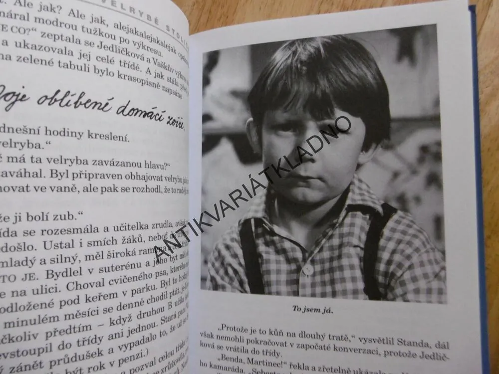 JAK VYTRHNOUT VELRYBĚ STOLIČKU, MARIE POLEDŇÁKOVÁ, **an