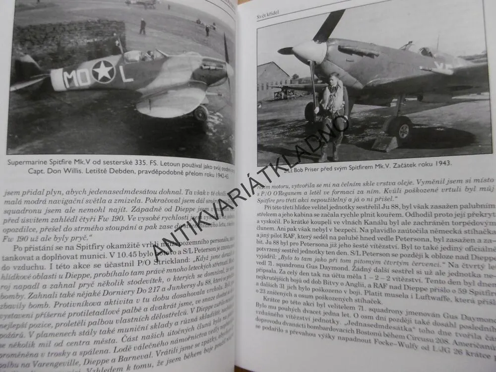 S ORLEM VE ZNAKU, HISTORIE STÍHACÍ SQUADRONY OD BITVY O ANGLII PO VÁLKU V KOREJI, MAREK BRZKOVSKÝ