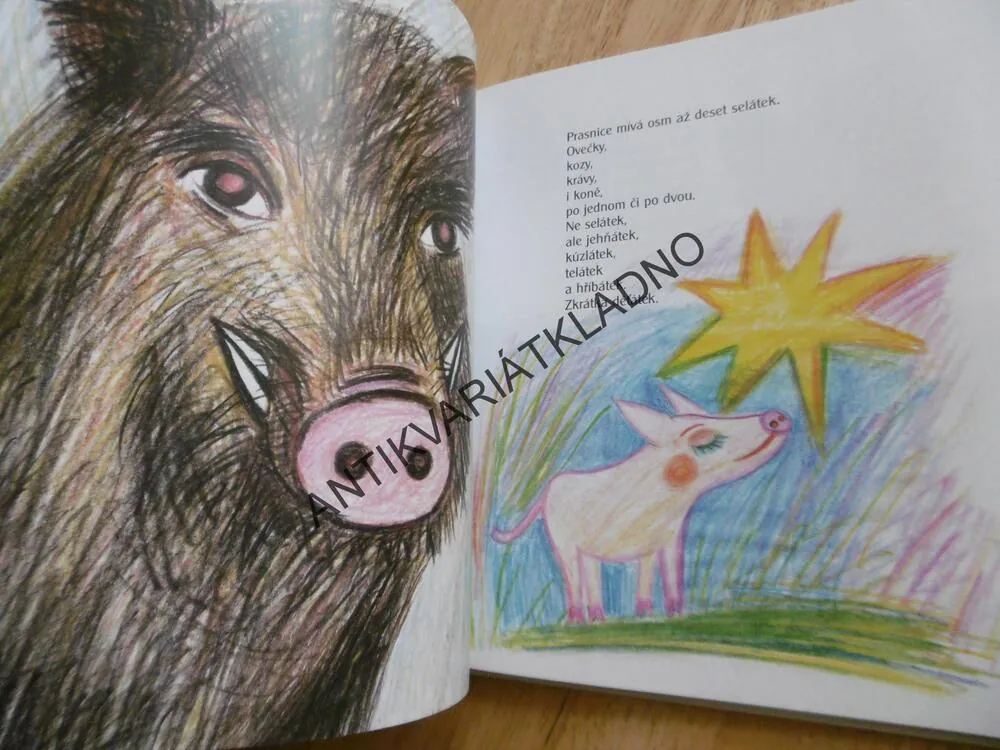 KDO MÁ KOHO, NINA ČAMPULKA - AUTOGRAM