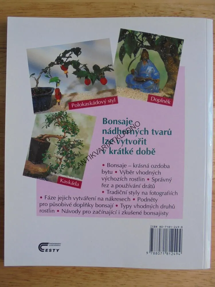 BONSAJE, POKOJOVÉ, TVAROVÁNÍ, KVĚTINY, ROSTLINY