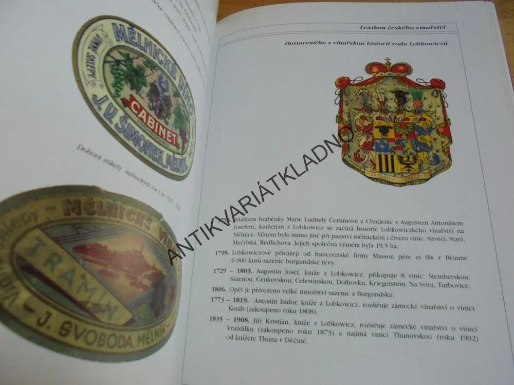 HISTORICKÉ RADNICE, KAREL KIBIC, GOTIKA, RENESANCE, BAROKO..., **an