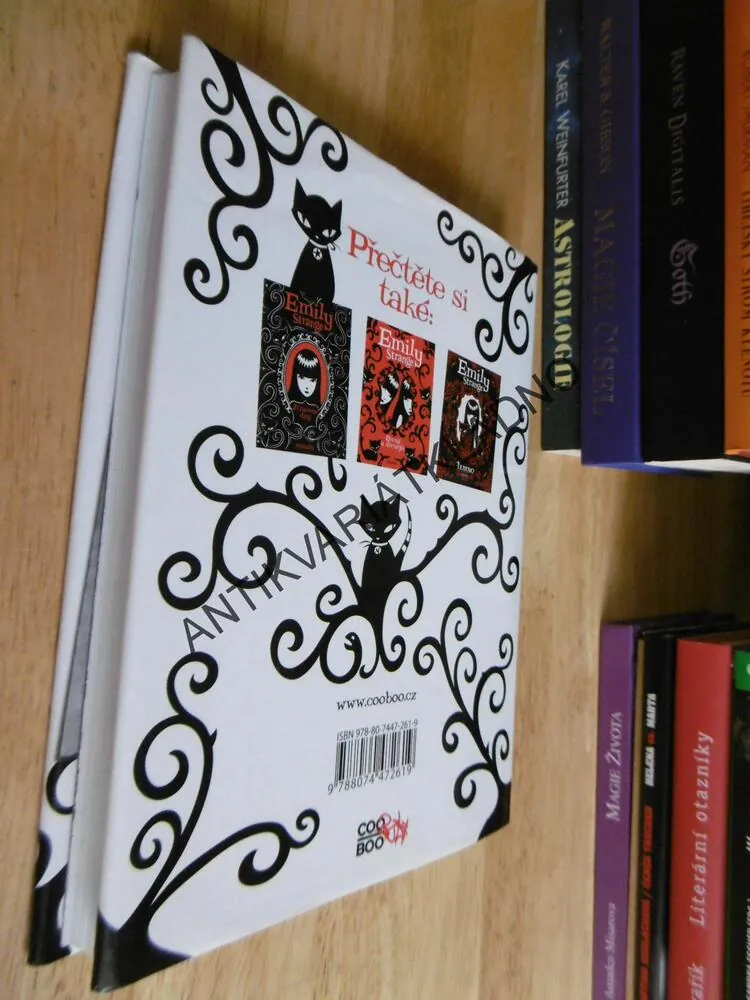 EMILY STRANGE, VÝMĚNA NÁZORŮ,GRUNEROVÁ