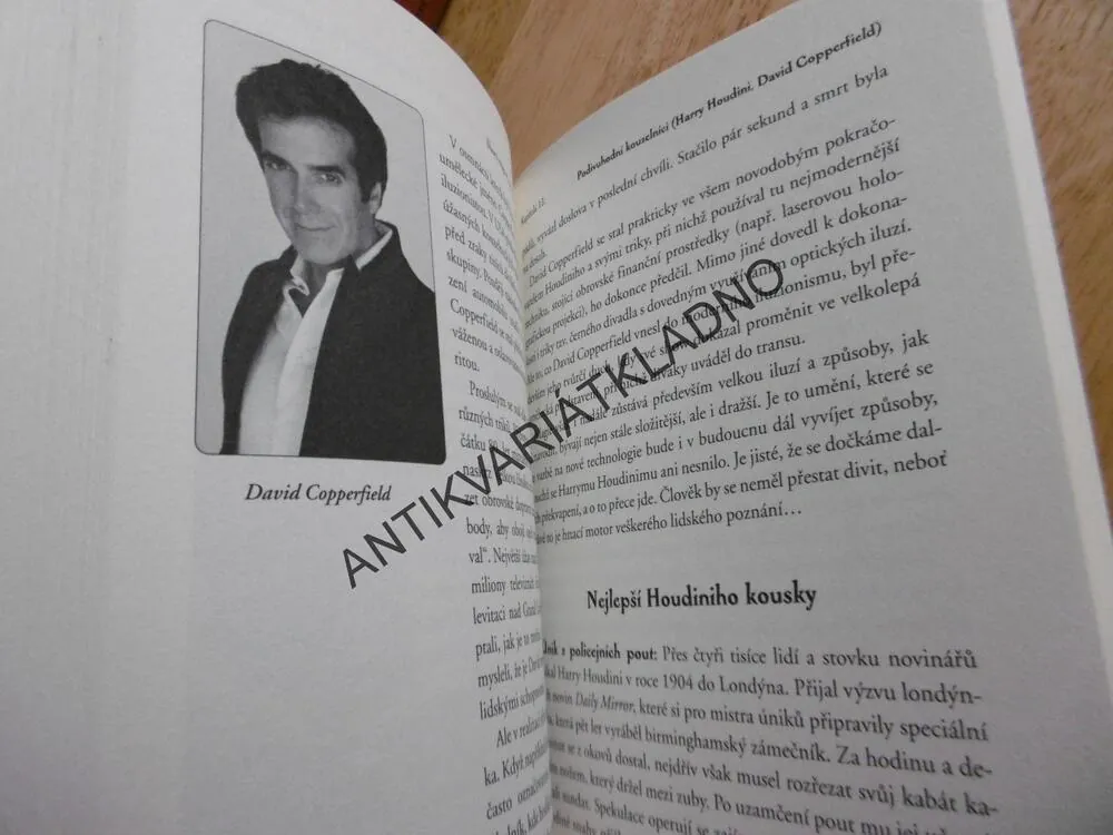 SLAVNÍ MÁGOVÉ, OKULTISTÉ A KOUZELNÍCI, OD NOSTRADAMA PO COPPERFIELDA, VLADIMÍR LIŠKA, **an