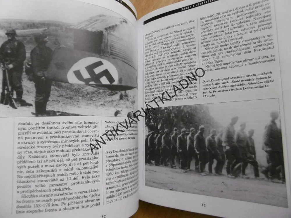 SS: PEKLO NA VÝCHODNÍ FRONTĚ, WAFFEN-SS V RUSKU 1941-45, CHRISTOPHER AILSBY, **an