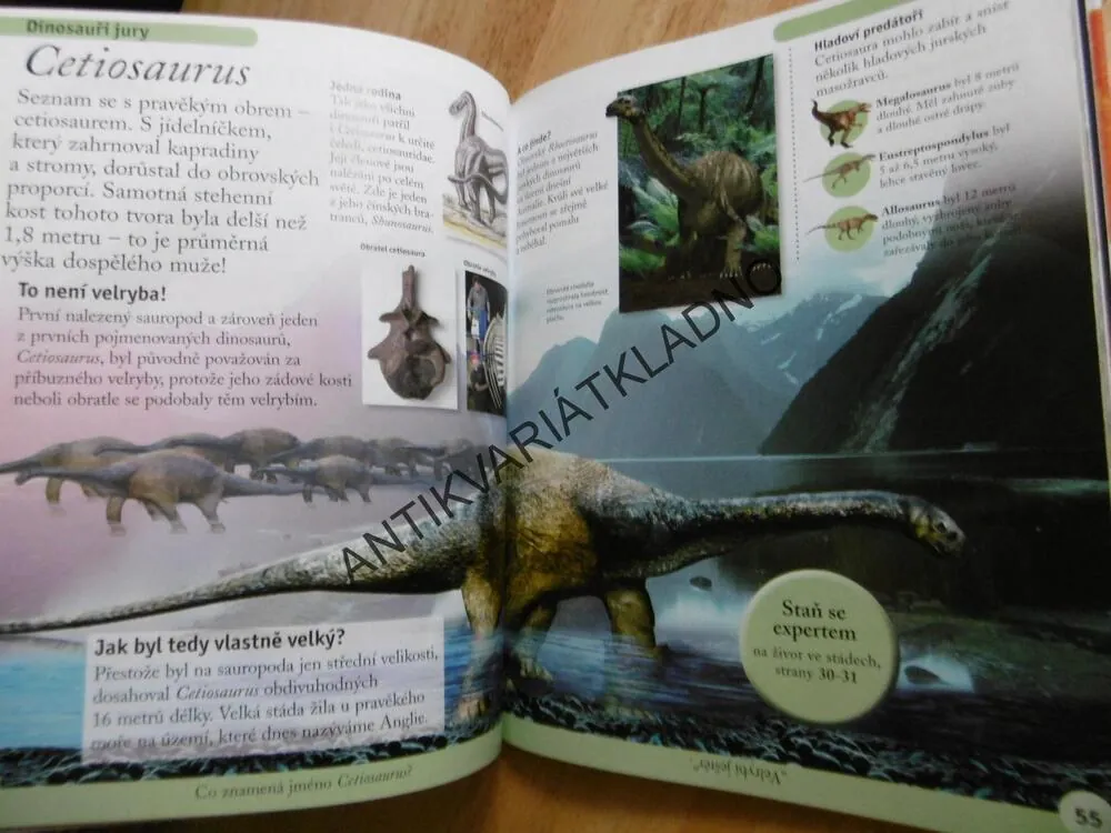 PRVNÍ ENCYKLOPEDIE DINOSAURŮ, DINOSAUŘI, **an