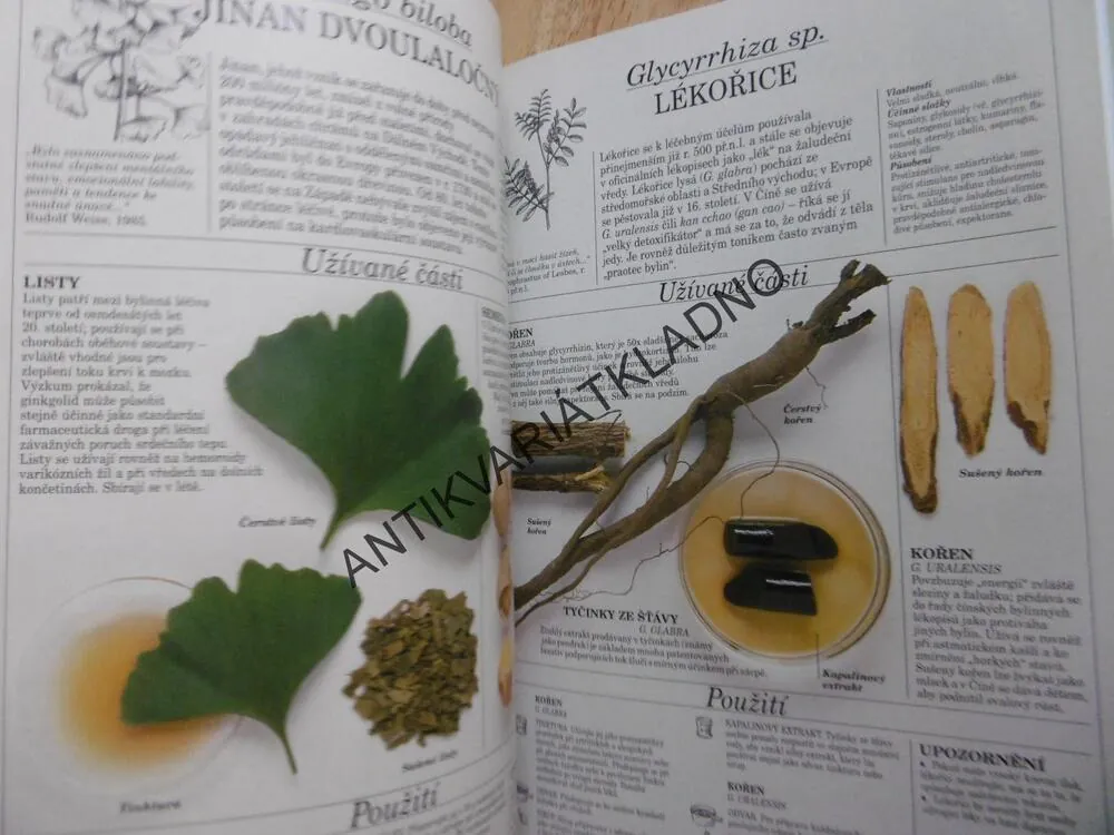 VELKÝ ATLAS LÉČIVÝCH ROSTLIN, PENELOPE ODYOVÁ