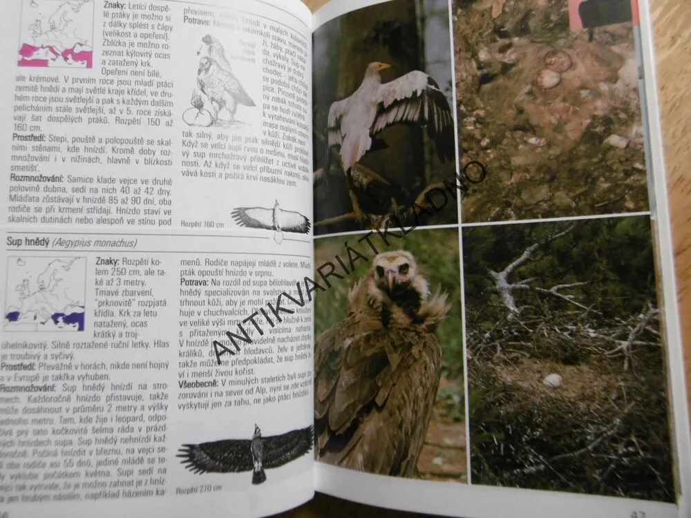 PTÁCI LESŮ, LUK A POLÍ, PRŮVODCE PŘÍRODOU