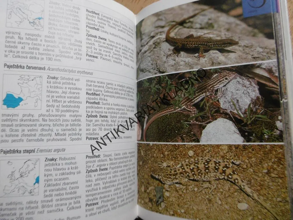 OBOJŽIVELNÍCI A PLAZI, PRŮVODCE PŘÍRODOU, **an