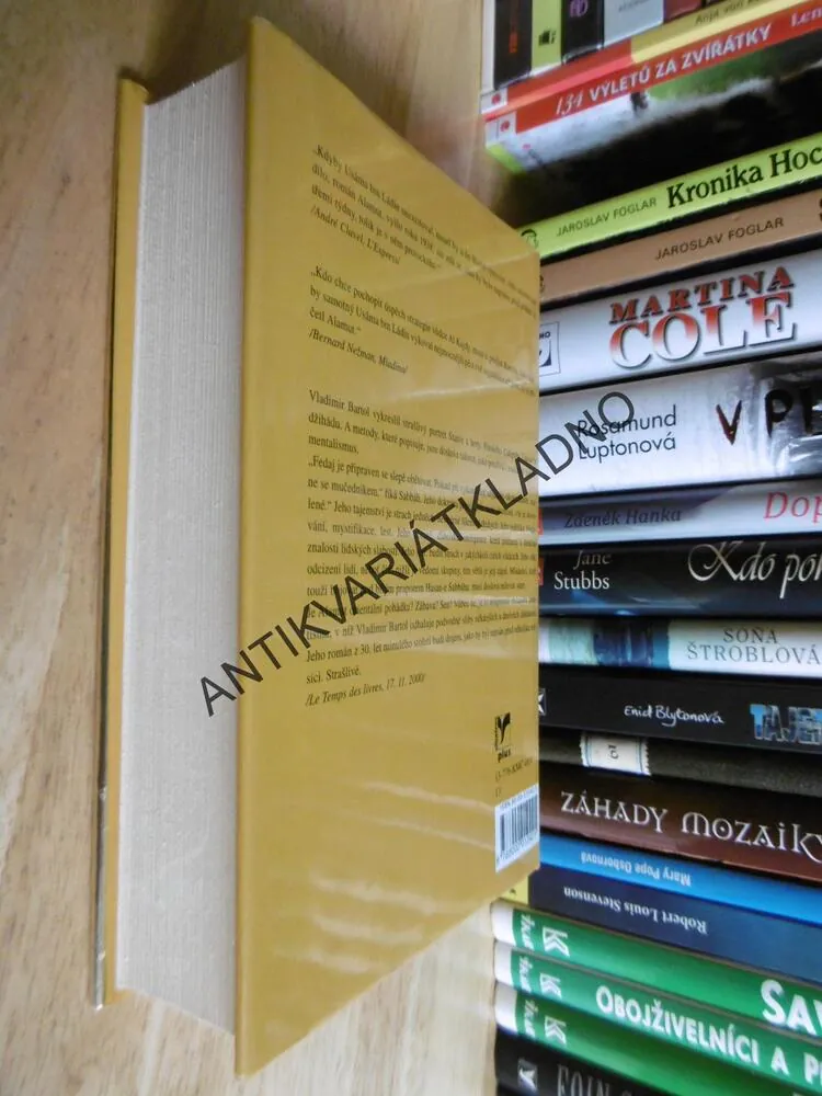 ALAMUT, VLADIMIR BARTOL, OBŽALOBA FANATISMU A RAFINOVANÉHO ZNEUŽÍVÁNÍ MOCI, **an