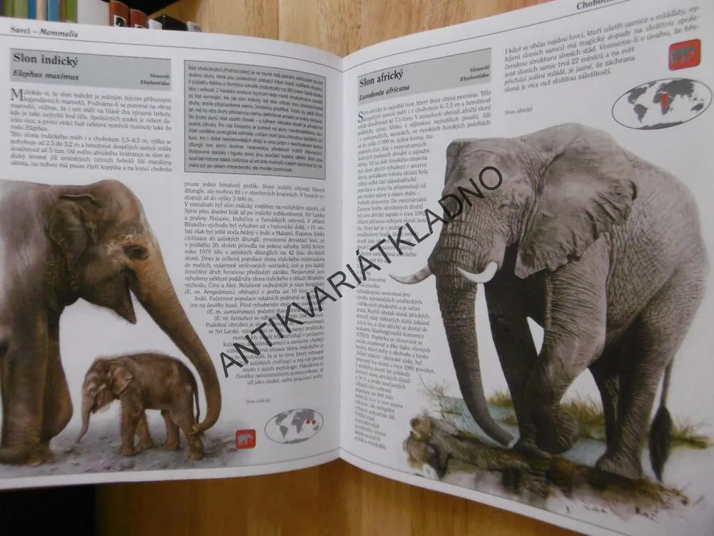 SVĚT VZÁCNÝCH ZVÍŘAT NA PŘELOMU TISÍCILETÍ, KŮS, PFLEGER, KNOTEK, **an